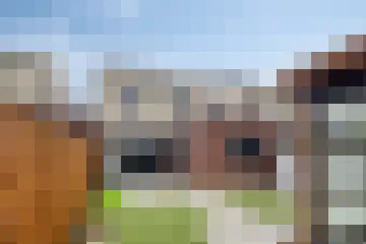 Klaverpad 14 Goes thumbnail 38