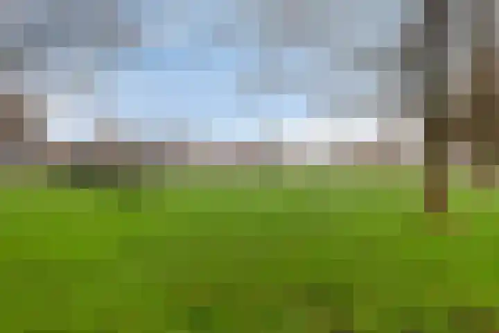Klaverpad 14 Goes thumbnail 40