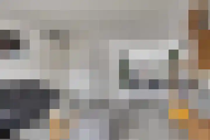 Klaverpad 14 Goes thumbnail 8
