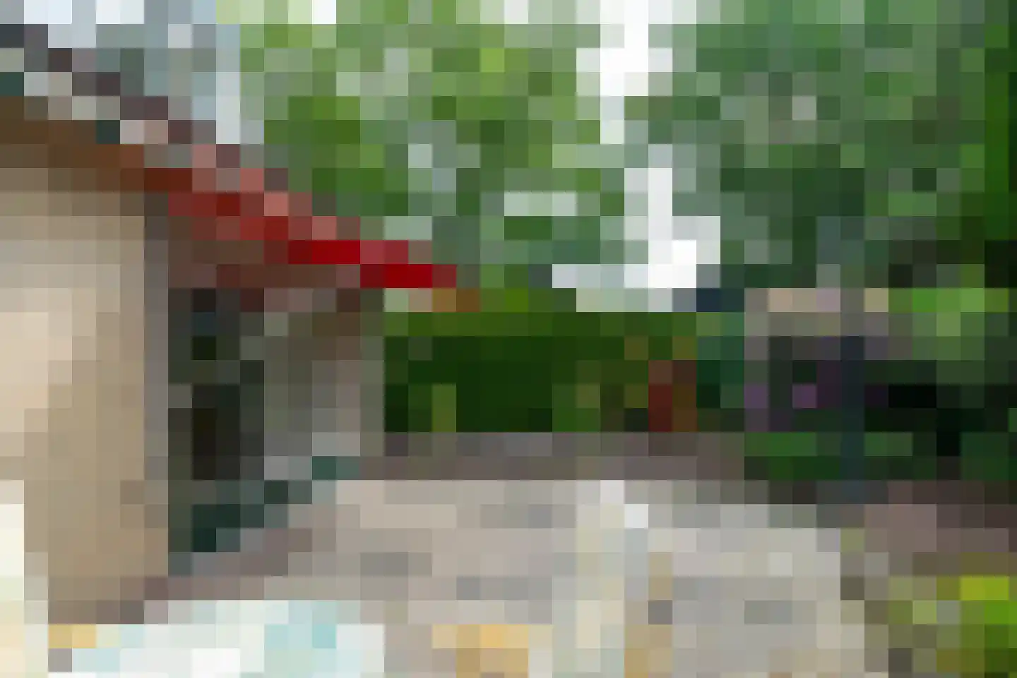 Klaverpad 2 Zuidwolde thumbnail 14