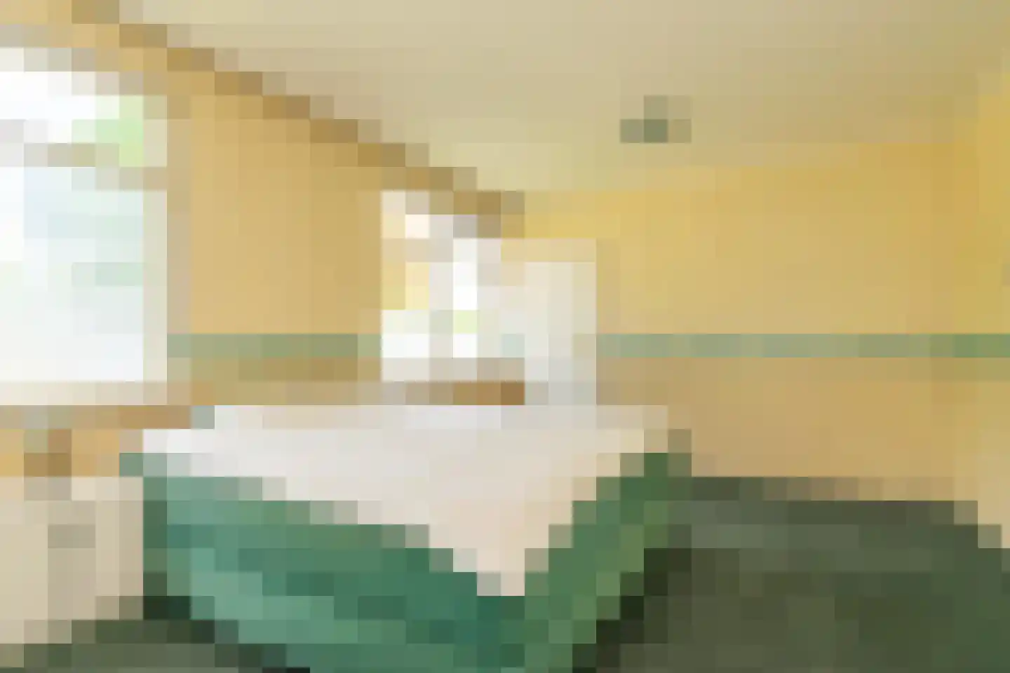 Klaverpad 2 Zuidwolde thumbnail 20
