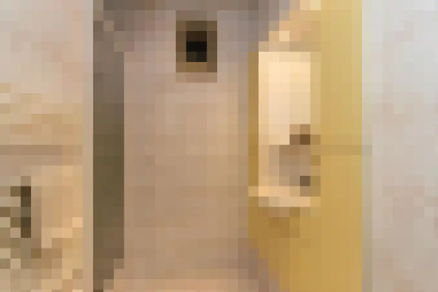 Klaverpad 2 Zuidwolde thumbnail 21