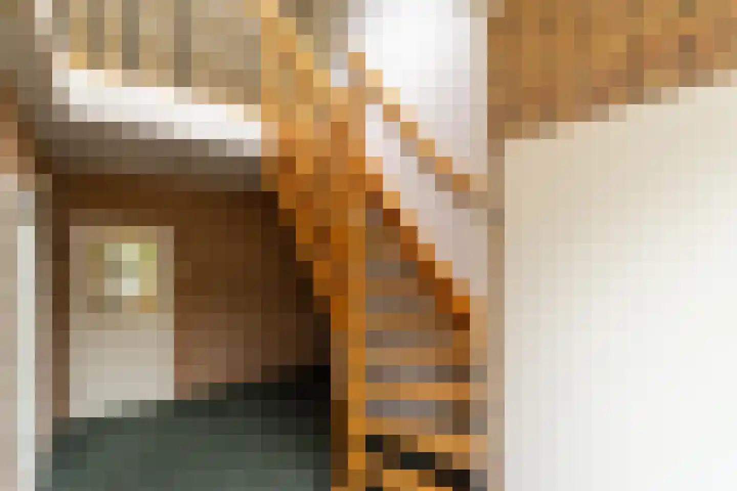 Klaverpad 2 Zuidwolde thumbnail 25