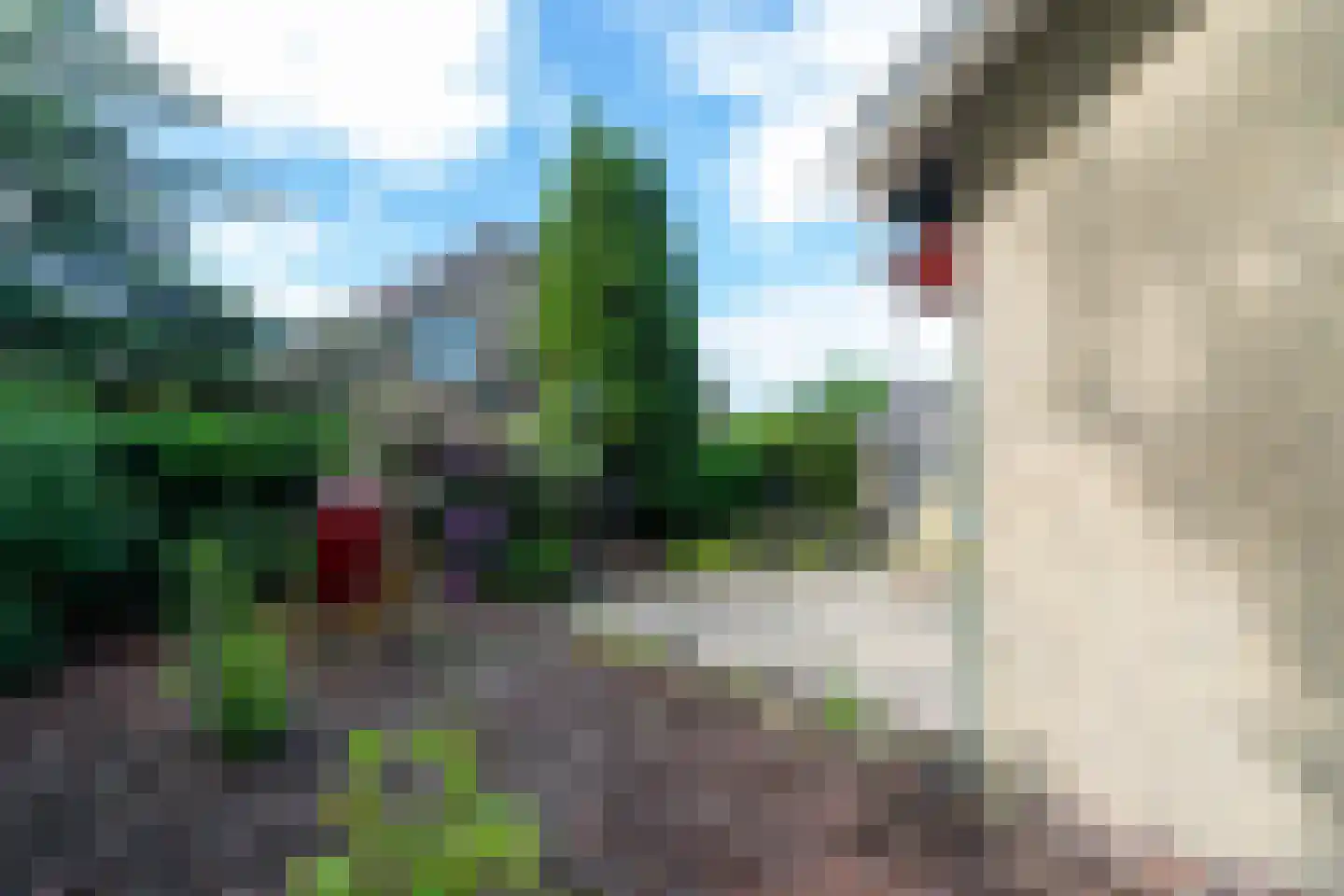 Klaverpad 2 Zuidwolde thumbnail 35
