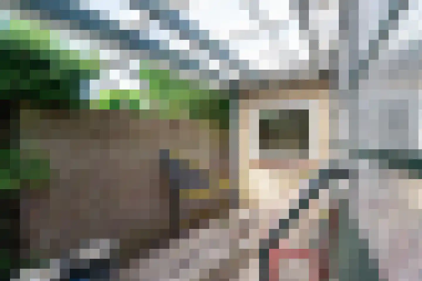 Klaverpad 2 Zuidwolde thumbnail 42