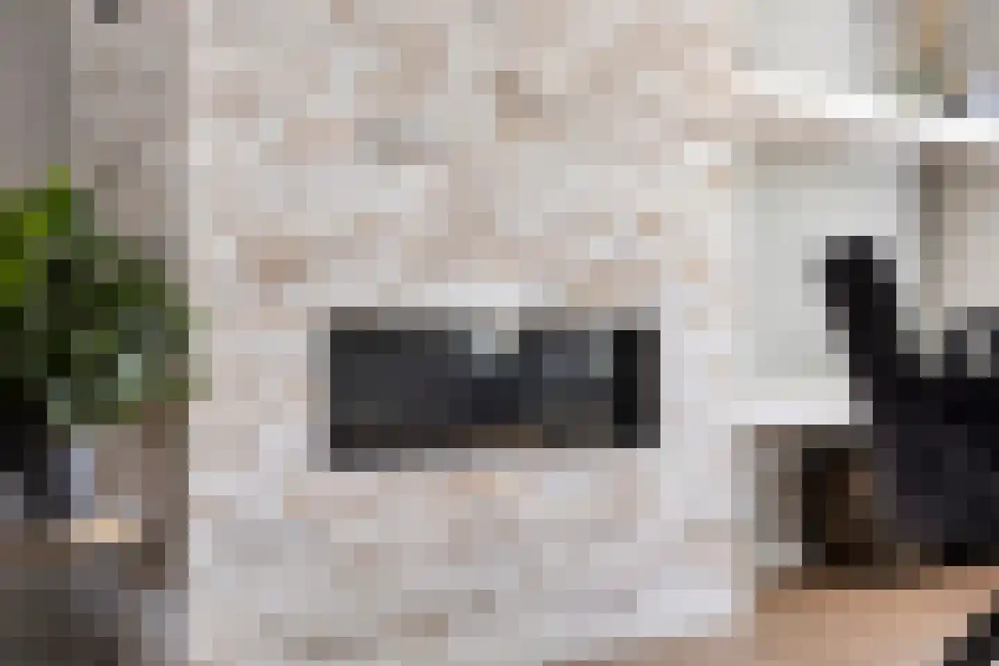 Klaverpad 5 Goes thumbnail 14