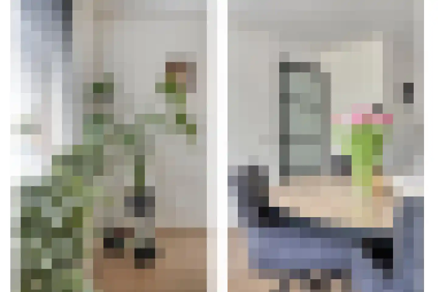 Klaverpad 5 Goes thumbnail 16