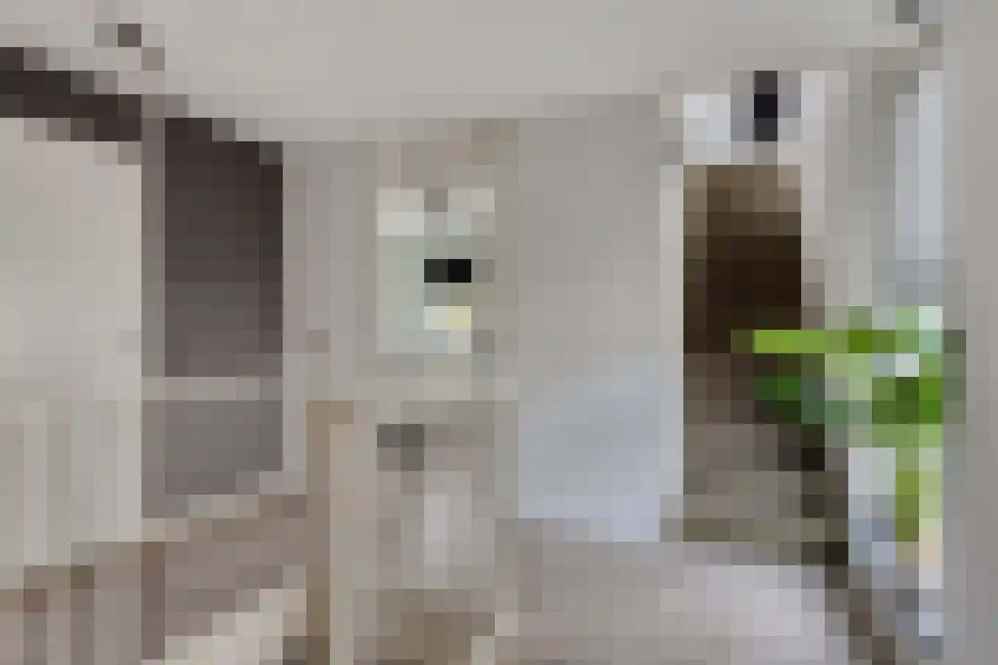 Klaverpad 5 Goes thumbnail 28