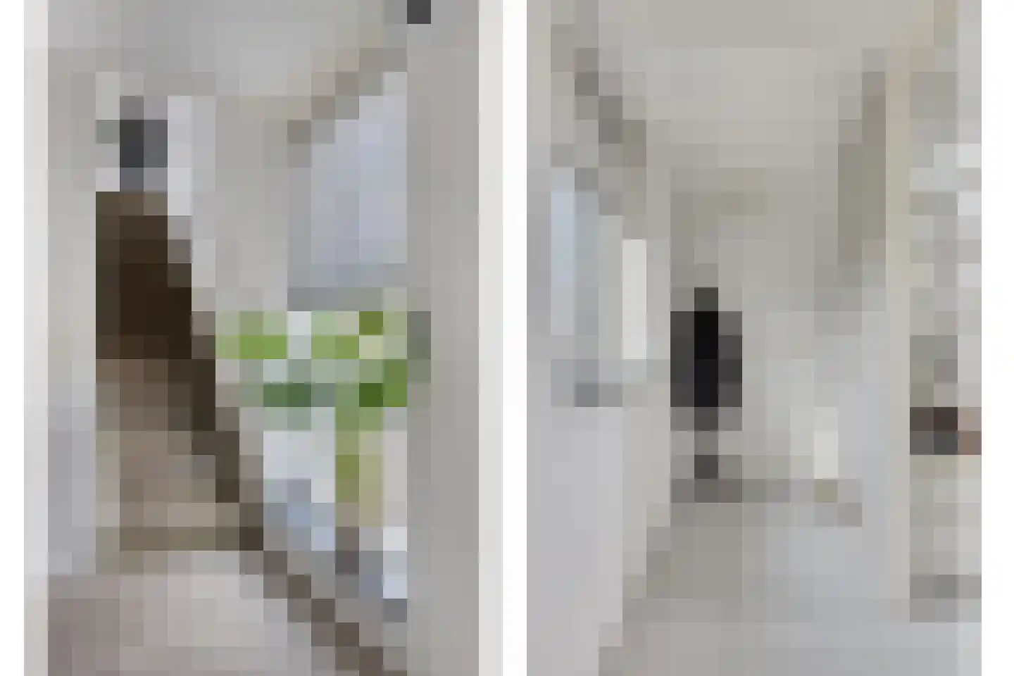 Klaverpad 5 Goes thumbnail 29