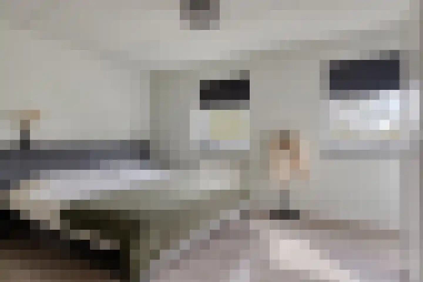 Klaverpad 5 Goes thumbnail 30