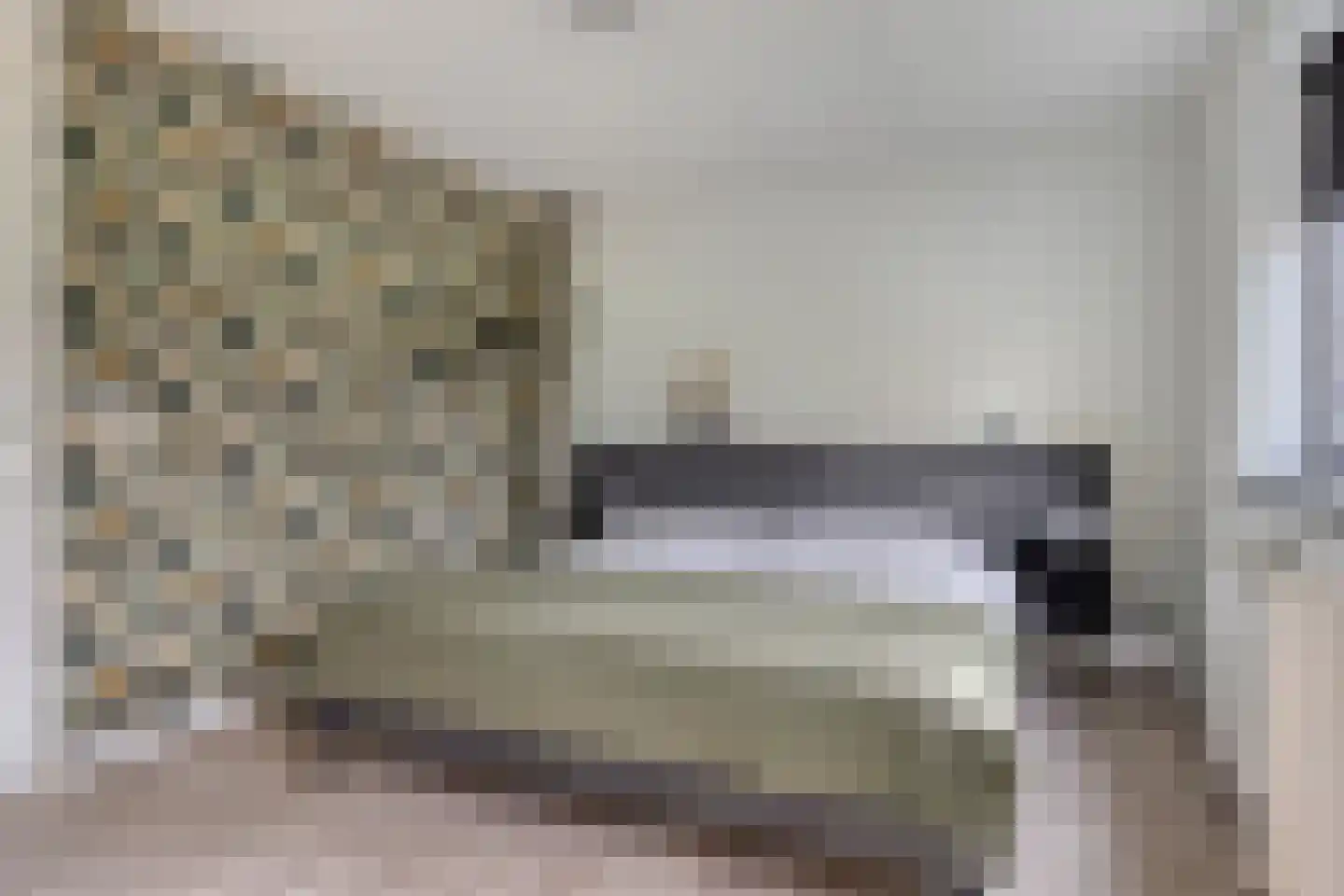 Klaverpad 5 Goes thumbnail 31