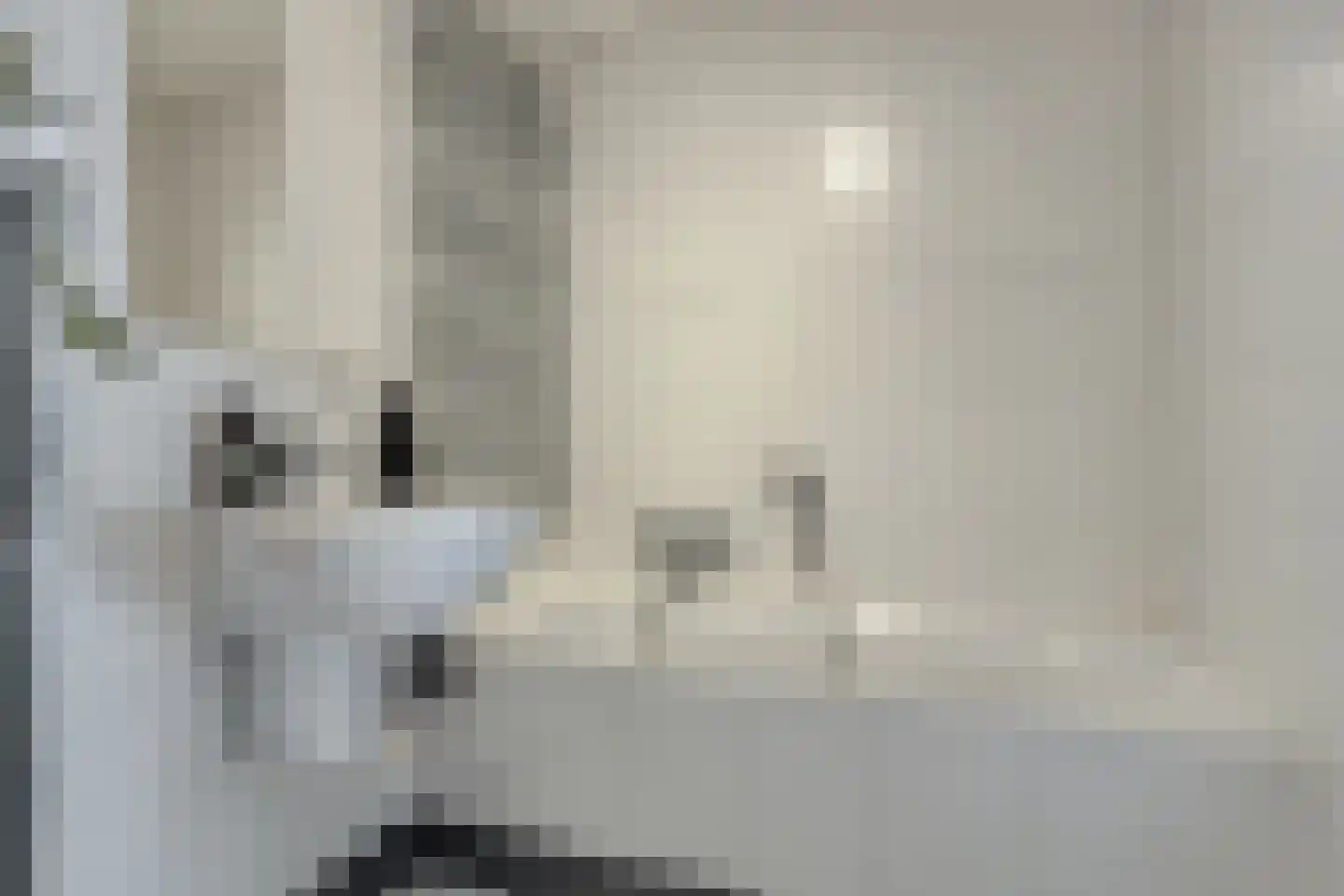 Klaverpad 5 Goes thumbnail 34