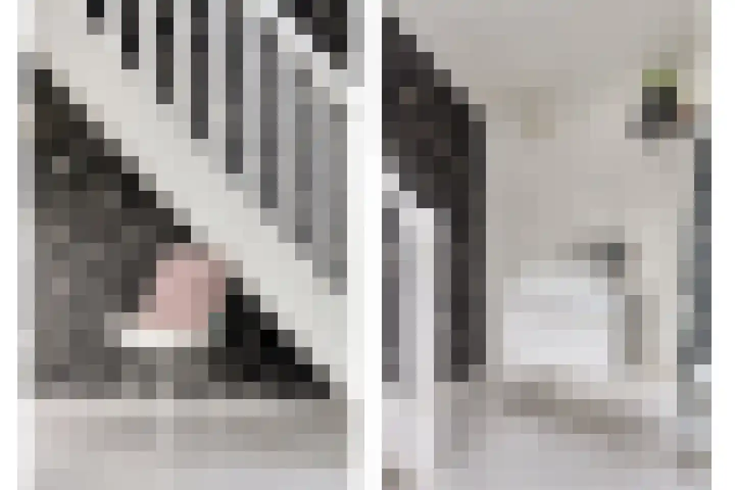 Klaverpad 5 Goes thumbnail 41