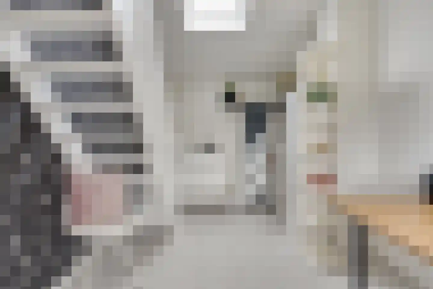 Klaverpad 5 Goes thumbnail 42