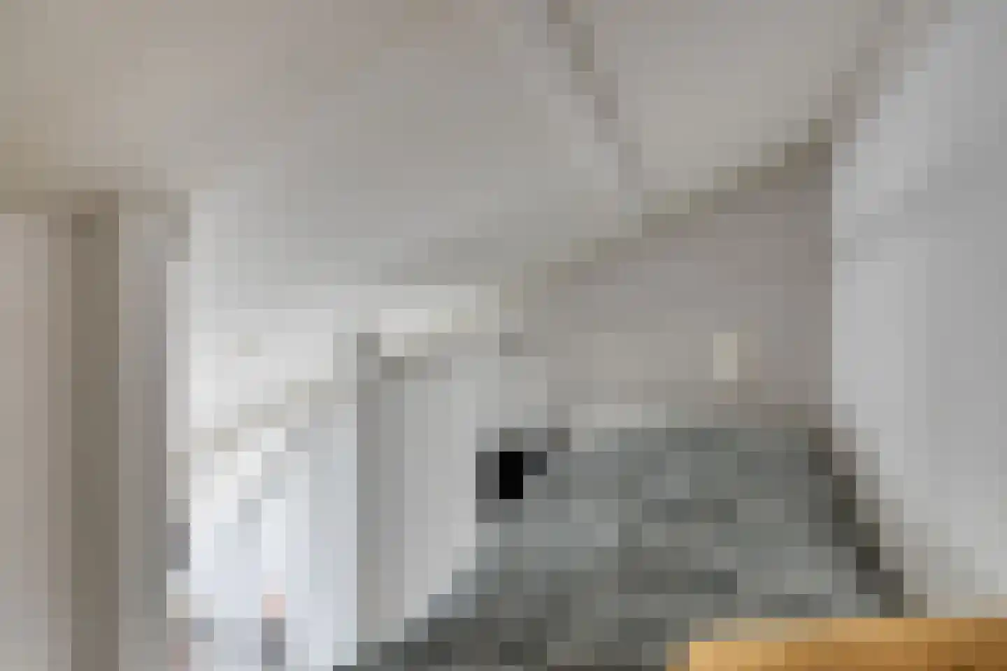 Klaverpad 5 Goes thumbnail 46