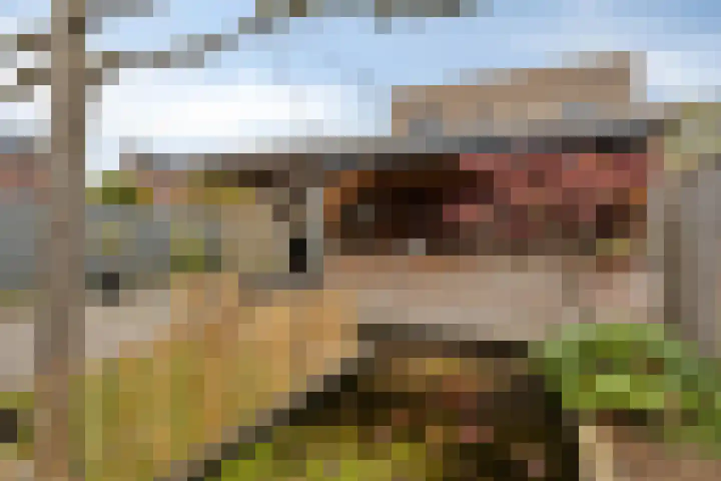 Klaverpad 5 Goes thumbnail 50