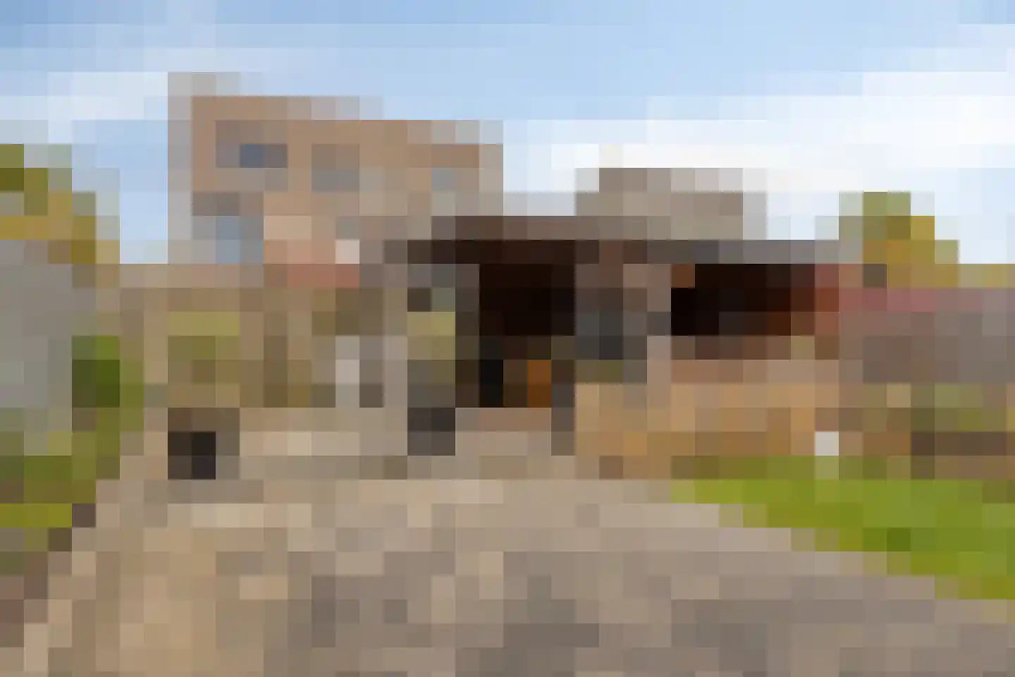 Klaverpad 5 Goes thumbnail 52