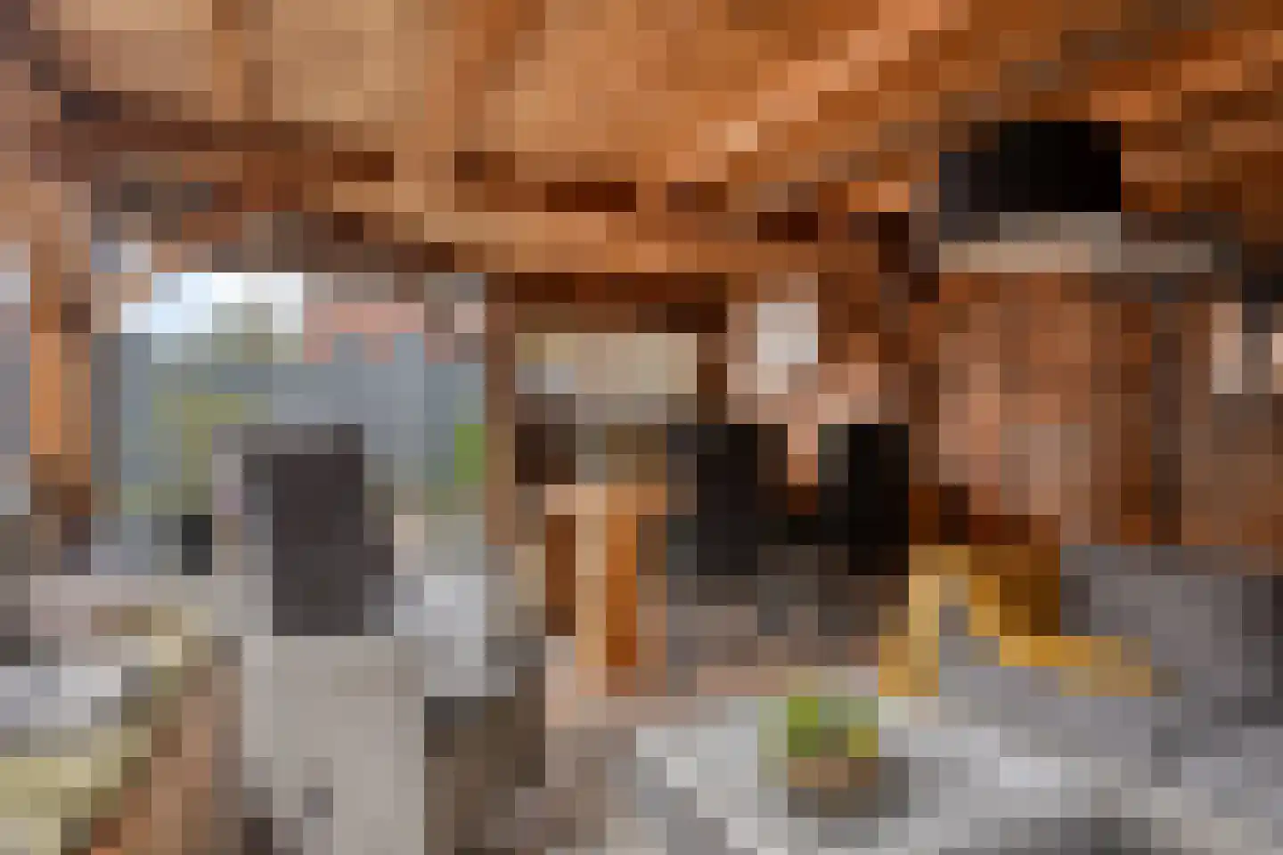 Klaverpad 5 Goes thumbnail 58