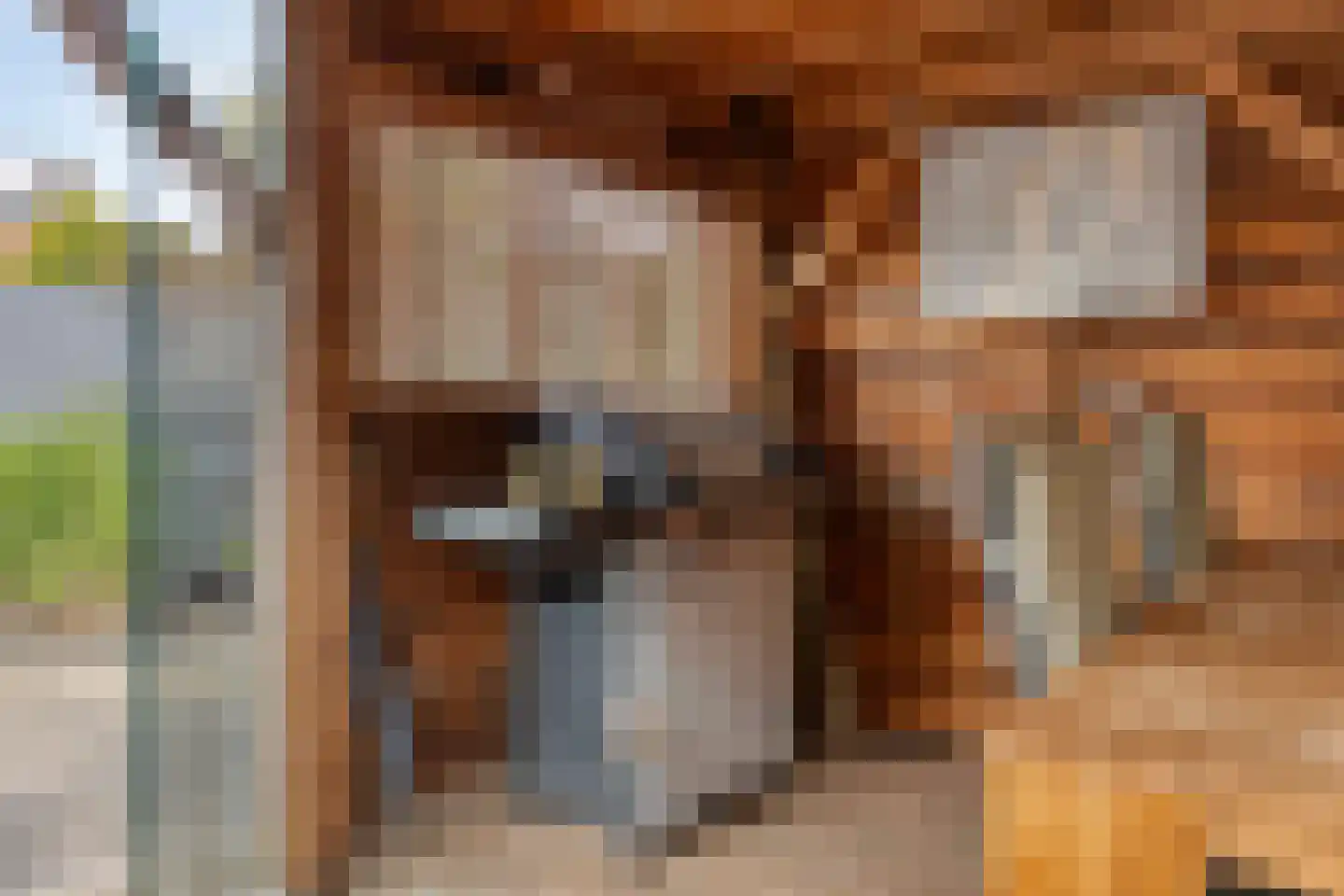Klaverpad 5 Goes thumbnail 59