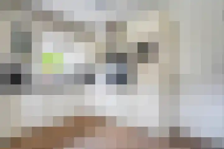 Klaverpad 7 Zuidwolde thumbnail 18