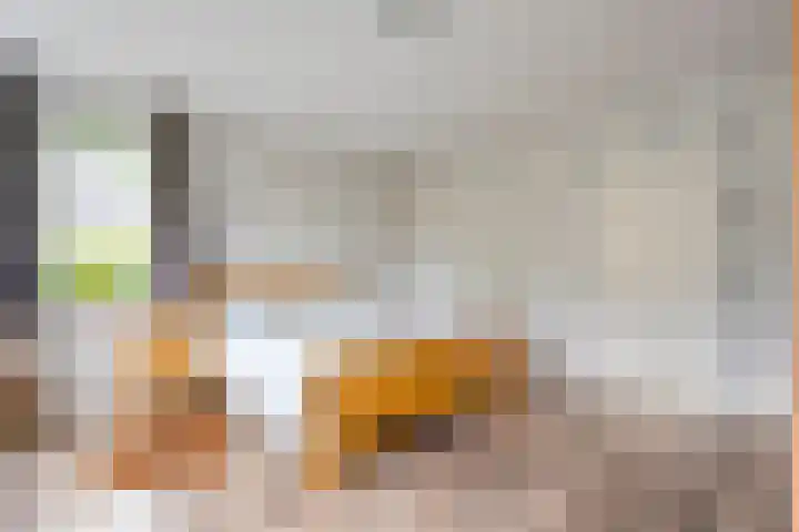 Klaverpad 7 Zuidwolde thumbnail 22