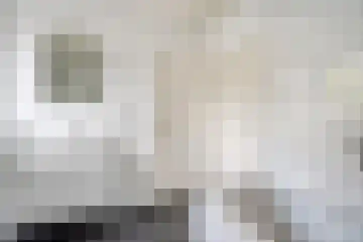 Klaverpad 7 Zuidwolde thumbnail 25