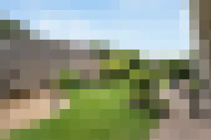 Klaverpad 7 Zuidwolde thumbnail 36