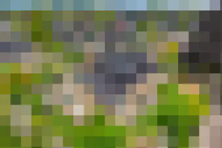 Klaverpad 7 Zuidwolde thumbnail 38