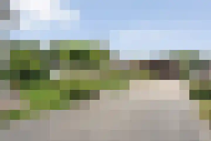 Klaverpad 7 Zuidwolde thumbnail 42