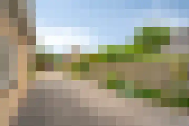 Klaverpad 7 Zuidwolde thumbnail 43