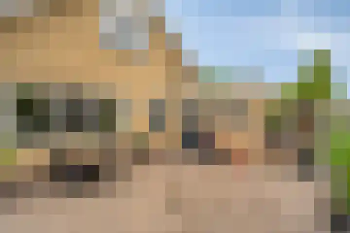 Klaverpad 7 Zuidwolde thumbnail 46