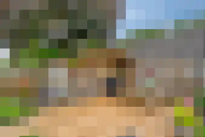 Klaverpad 7 Zuidwolde thumbnail 48