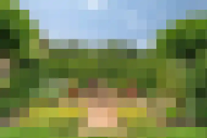Klaverpad 7 Zuidwolde thumbnail 49