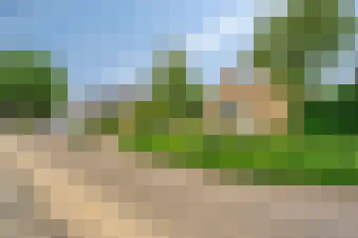 Klaverpad 7 Zuidwolde thumbnail 50
