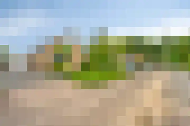 Klaverpad 7 Zuidwolde thumbnail 51
