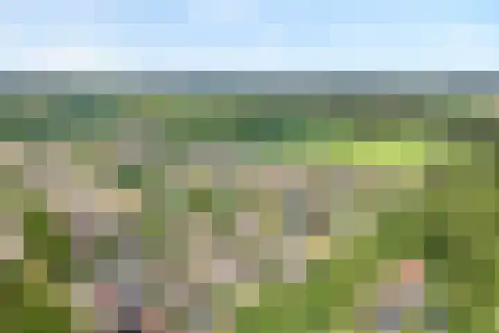 Klaverpad 7 Zuidwolde thumbnail 52