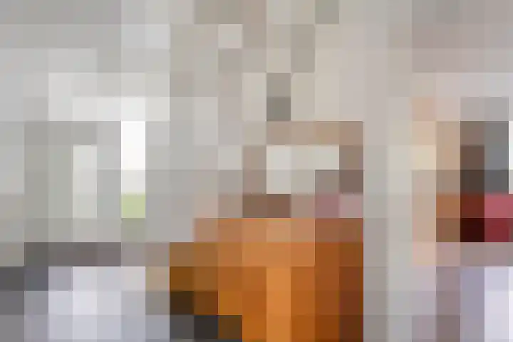Klaverpad 7 Zuidwolde thumbnail 7