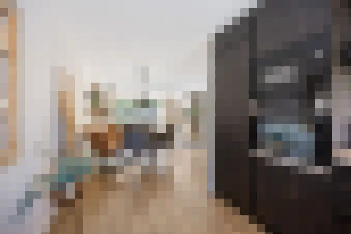 Klaverpas 13 Druten thumbnail 15