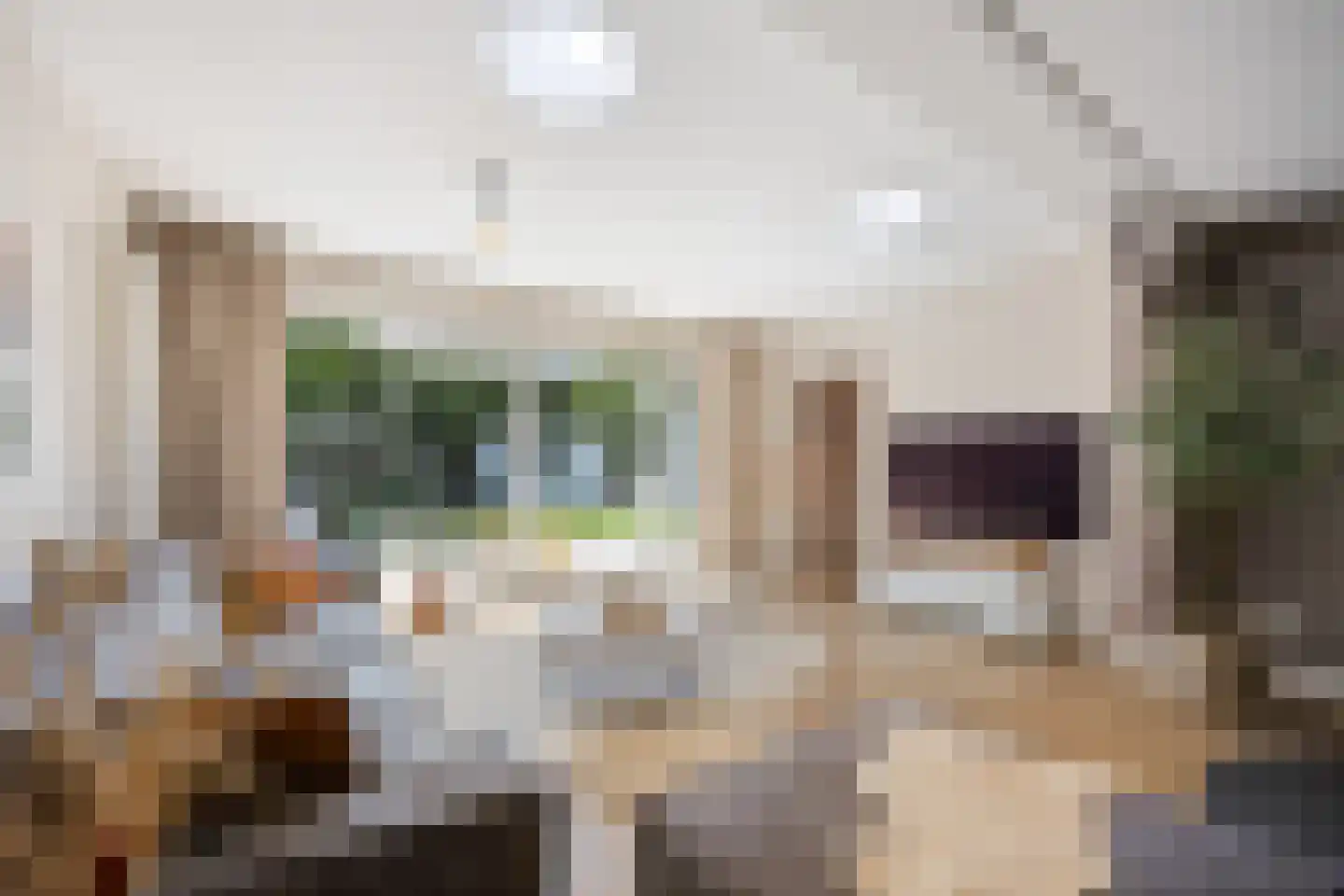 Klaverpas 13 Druten thumbnail 23