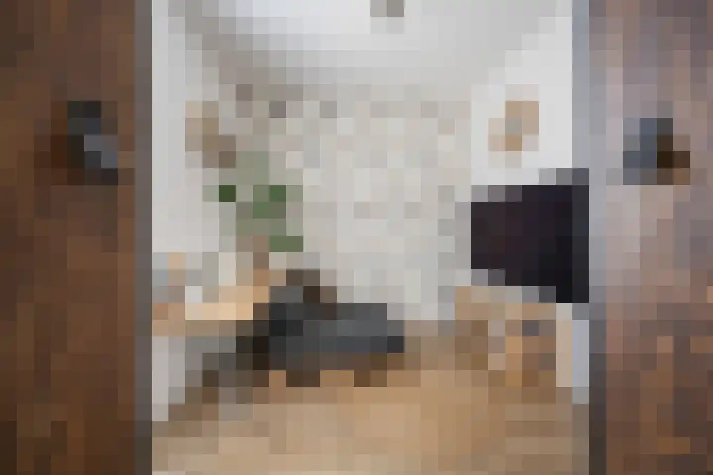 Klaverpas 13 Druten thumbnail 27