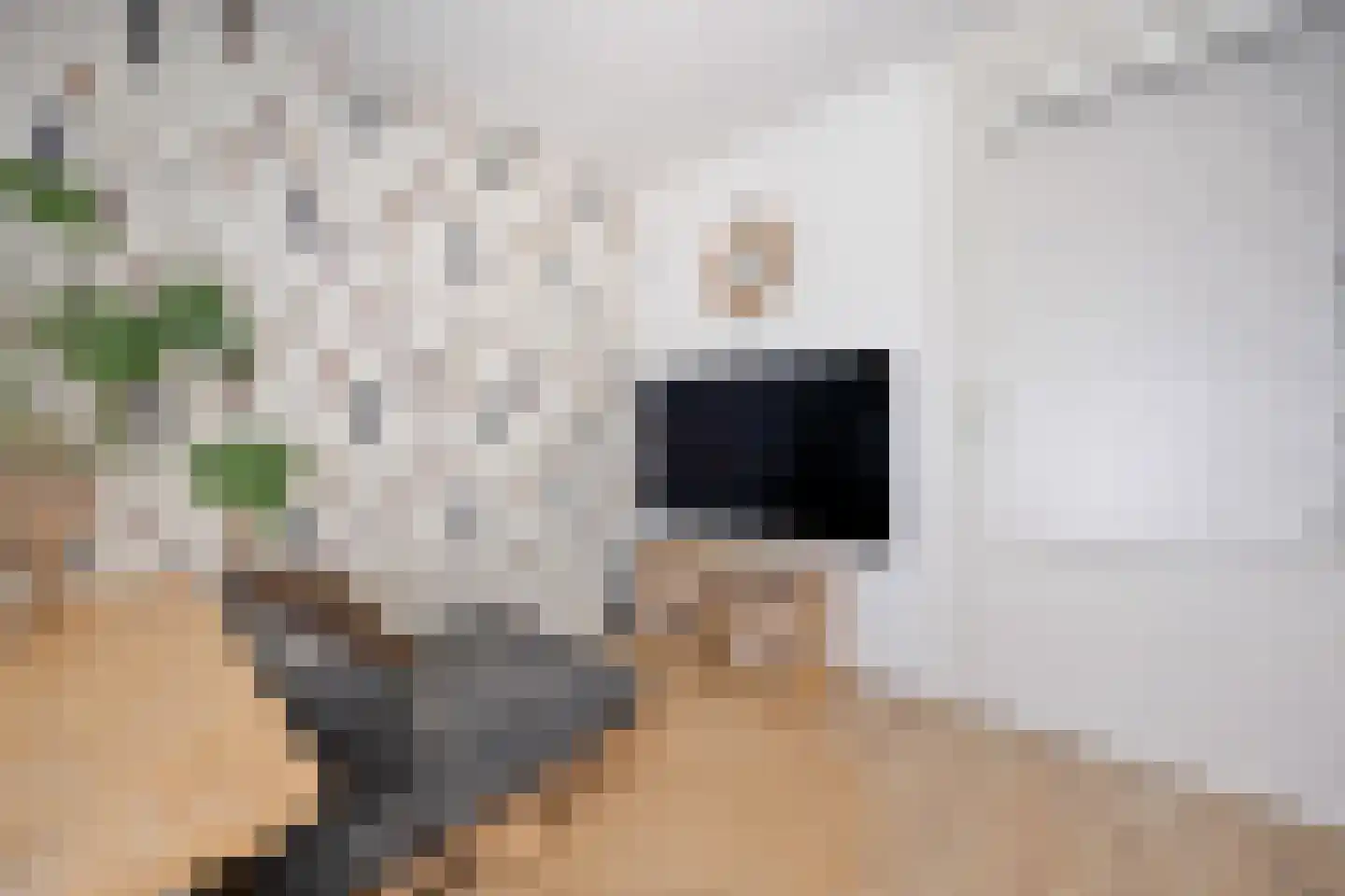 Klaverpas 13 Druten thumbnail 29