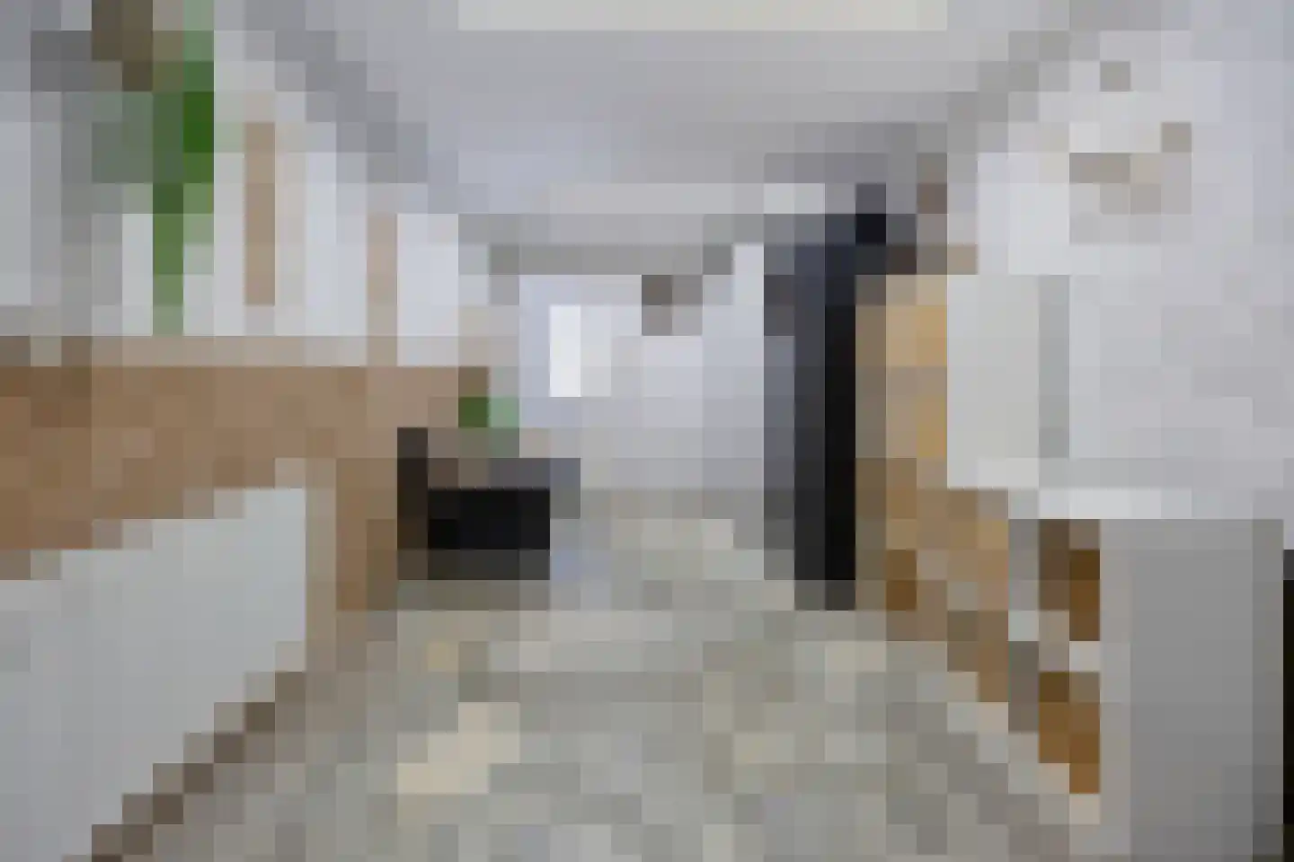 Klaverpas 13 Druten thumbnail 31