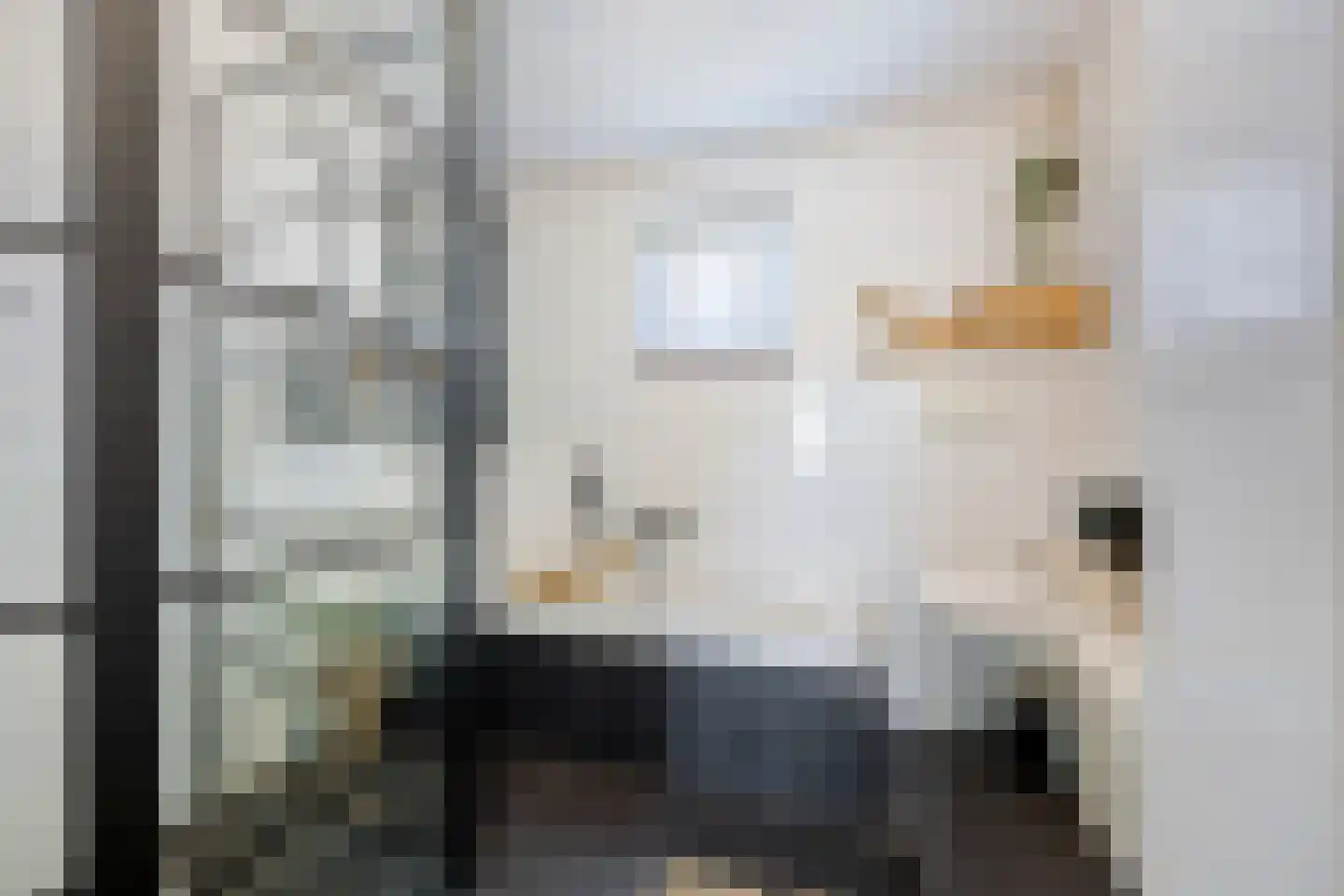 Klaverpas 13 Druten thumbnail 33