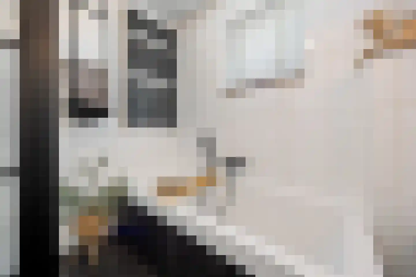 Klaverpas 13 Druten thumbnail 34