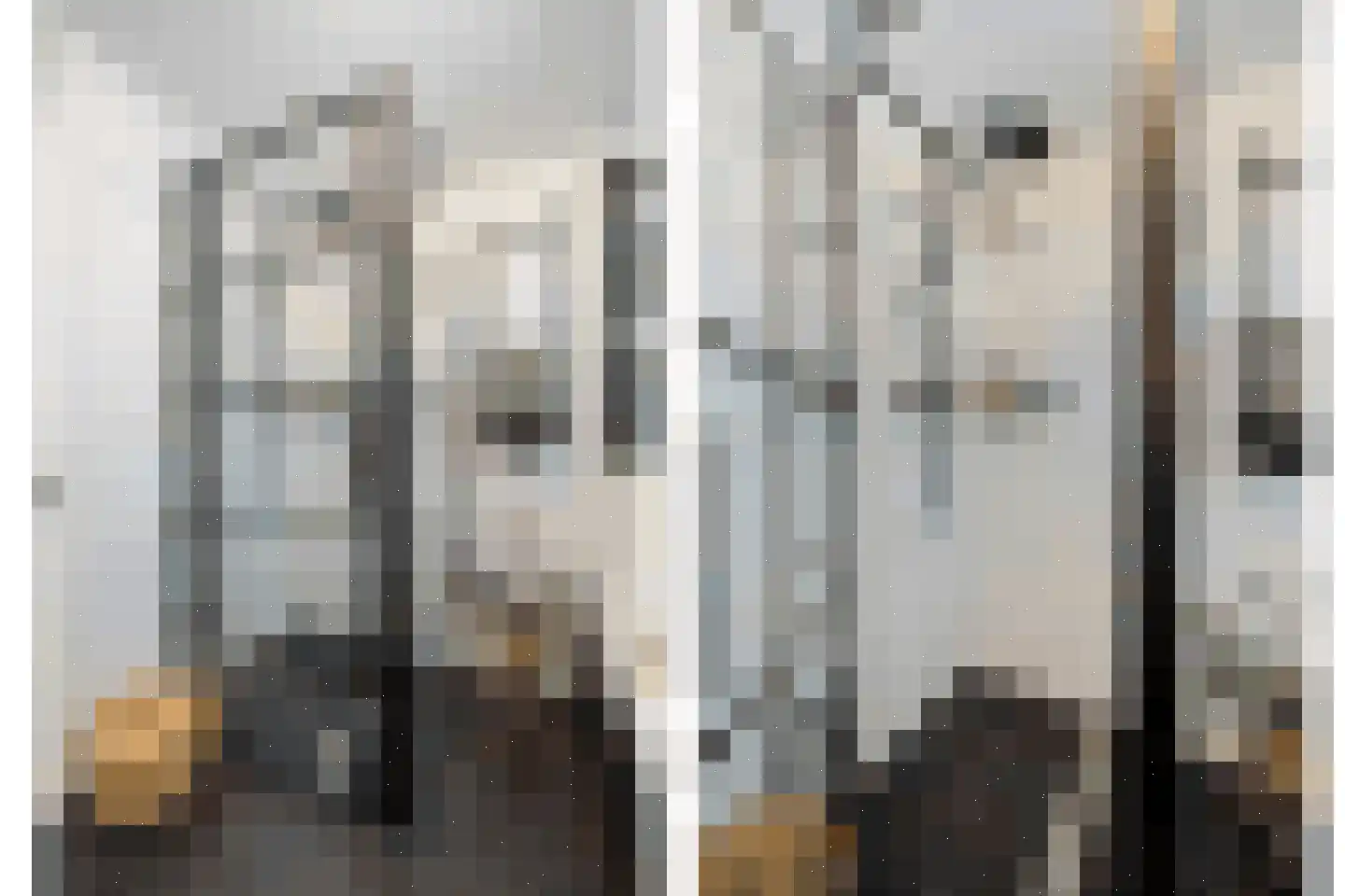 Klaverpas 13 Druten thumbnail 36