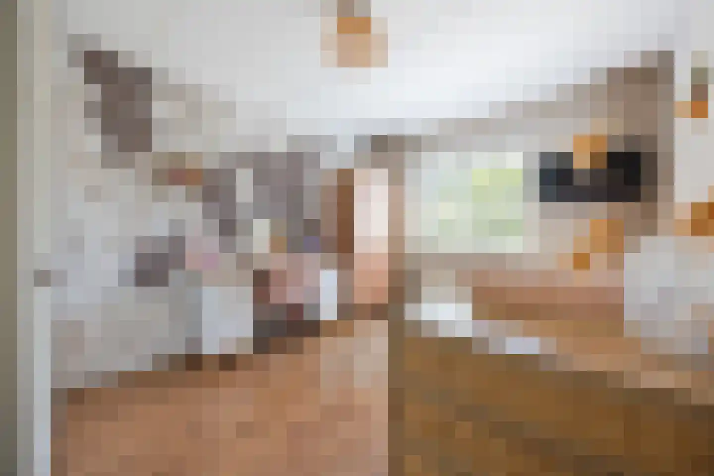 Klaverpas 13 Druten thumbnail 40
