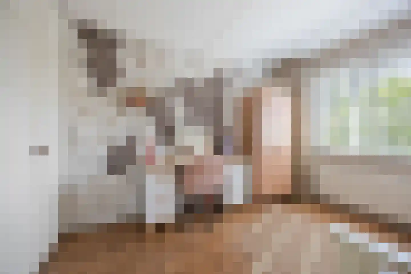Klaverpas 13 Druten thumbnail 41