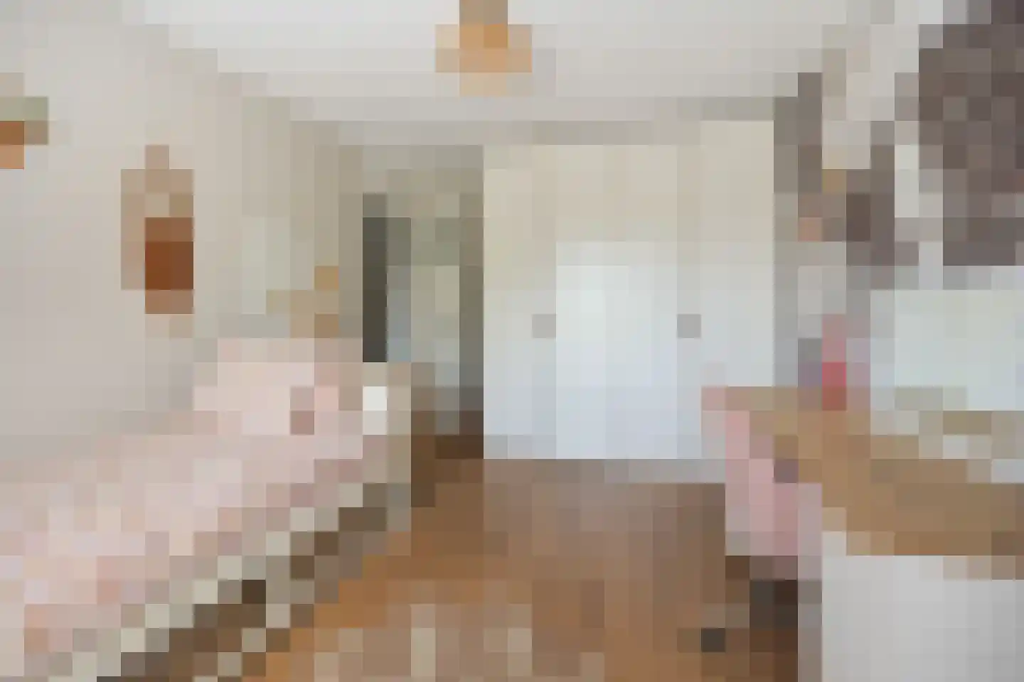 Klaverpas 13 Druten thumbnail 42