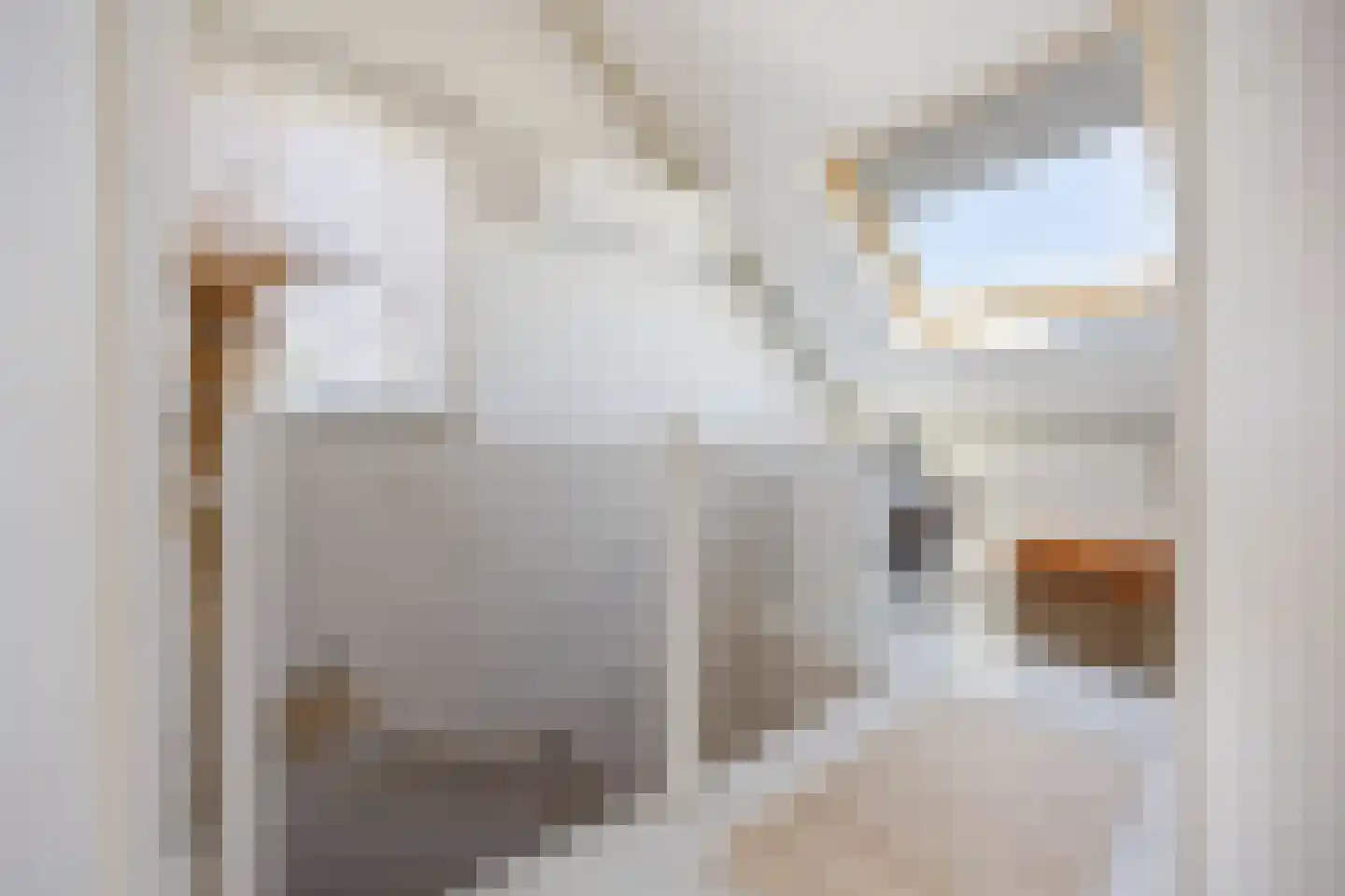Klaverpas 13 Druten thumbnail 46