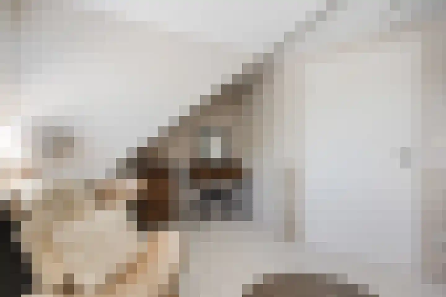 Klaverpas 13 Druten thumbnail 49